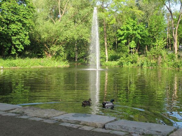 Fontäne im Teich