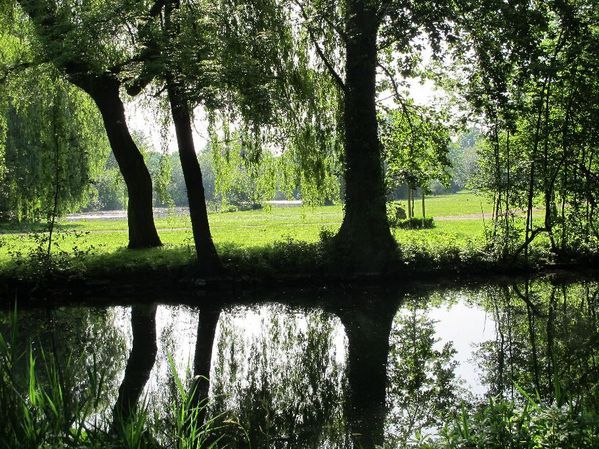 "grüner Winkel"